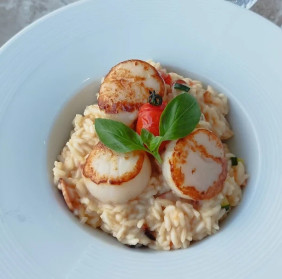 Bistro Coe: A Must-Visit Culinary Gem in the Heart of Monaco