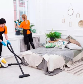 Professional Cleaning and Repair Services in Monaco