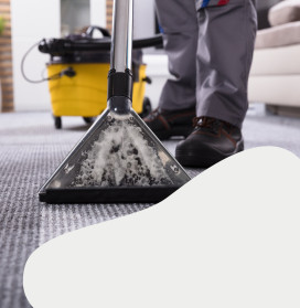 Cleaning company Monaco