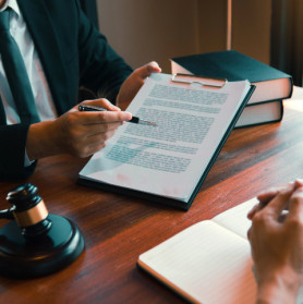Legal support of the Principality of Monaco