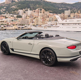 Chauffeur-Driven Monaco